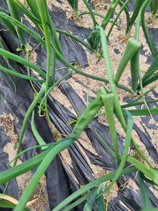 정회환 님의 자유주제 · 건의해요 작성글 사진