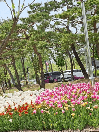 연산나무농장님의 자유주제 · 자유게시판 작성글 사진