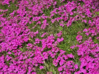 연산나무농장님의 자유주제 · 자유게시판 작성글 사진