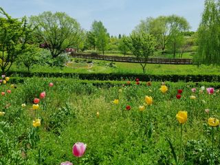 연산나무농장님의 자유주제 · 자유게시판 작성글 사진