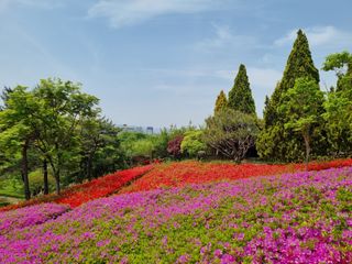 연산나무농장님의 자유주제 · 자유게시판 작성글 사진