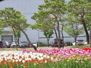 연산나무농장님의 자유주제 · 자유게시판 작성글 사진