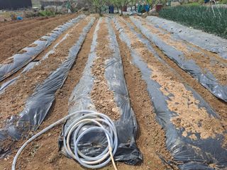 나누고싶어서님의 자유주제 · 자유게시판 작성글 사진