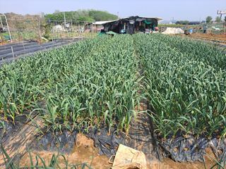 나누고싶어서님의 자유주제 · 자유게시판 작성글 사진