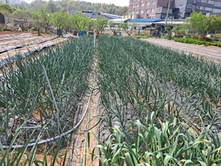 나누고싶어서님의 자유주제 · 자유게시판 작성글 사진