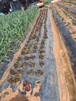 나누고싶어서님의 자유주제 · 자유게시판 작성글 사진