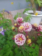 팜모닝 자유주제·자유게시판 게시글 이미지