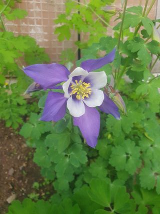 남 샘결 개둥맘님의 자유주제 · 자유게시판 작성글 사진