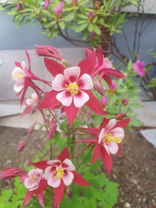 남 샘결 개둥맘님의 자유주제 · 자유게시판 작성글 사진