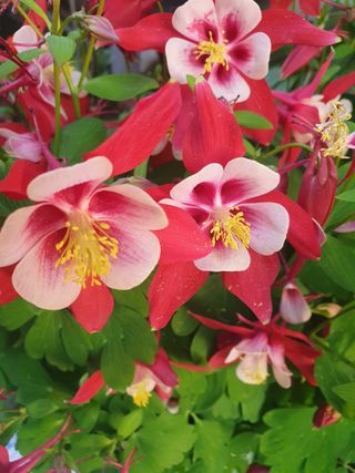 남 샘결 개둥맘님의 자유주제 · 자유게시판 작성글 사진