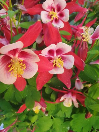 남 샘결 개둥맘님의 자유주제 · 자유게시판 작성글 사진