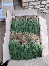 팜모닝 자유주제·자유게시판 게시글 이미지