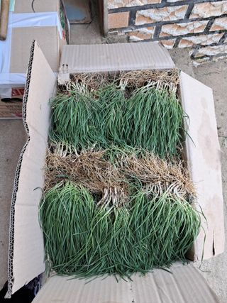 귤20643님의 자유주제 · 자유게시판 작성글 사진