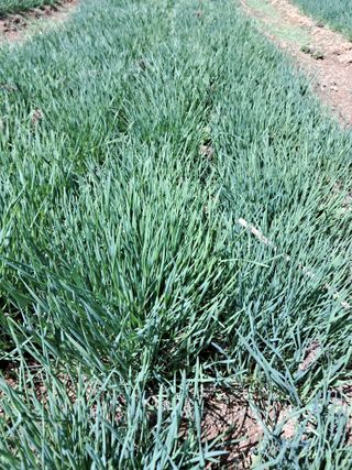 귤20643님의 자유주제 · 자유게시판 작성글 사진