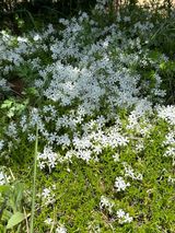 팜모닝 자유주제·사진전 게시글 이미지