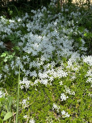 농사꾼님의 자유주제 · 사진전 작성글 사진
