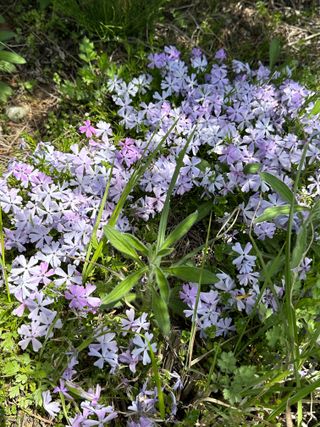 농사꾼님의 자유주제 · 사진전 작성글 사진