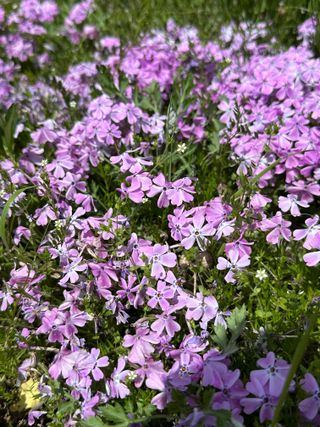 농사꾼님의 자유주제 · 사진전 작성글 사진