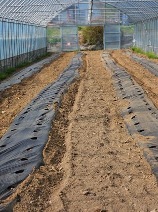 왕자농원님의 자유주제 · 자유게시판 작성글 사진