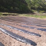 팜모닝 자유주제·자유게시판 게시글 이미지