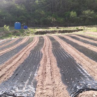 유석범님의 자유주제 · 자유게시판 작성글 사진