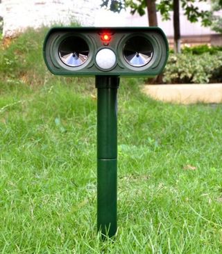 하은와송~♡♡♡~님의 자유주제 · 자유게시판 작성글 사진