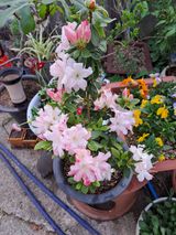 팜모닝 자유주제·자유게시판 게시글 이미지