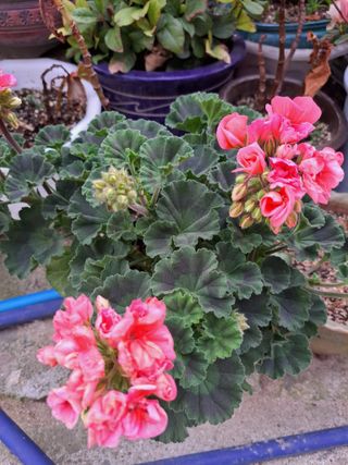 신한숙님의 자유주제 · 자유게시판 작성글 사진