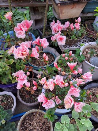 신한숙님의 자유주제 · 자유게시판 작성글 사진