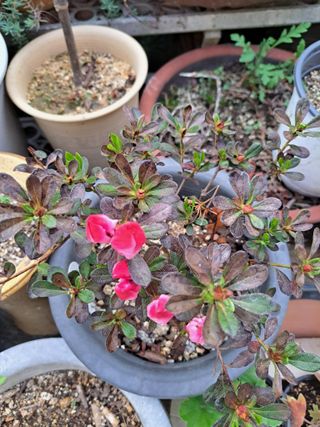 신한숙님의 자유주제 · 자유게시판 작성글 사진