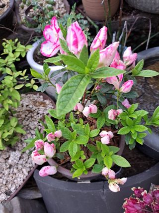 신한숙님의 자유주제 · 자유게시판 작성글 사진