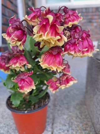 신한숙님의 자유주제 · 자유게시판 작성글 사진