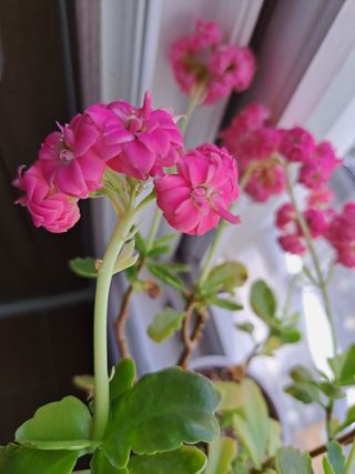 신한숙님의 자유주제 · 자유게시판 작성글 사진