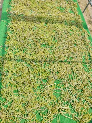 인생은 소풍처럼님의 작성글 사진