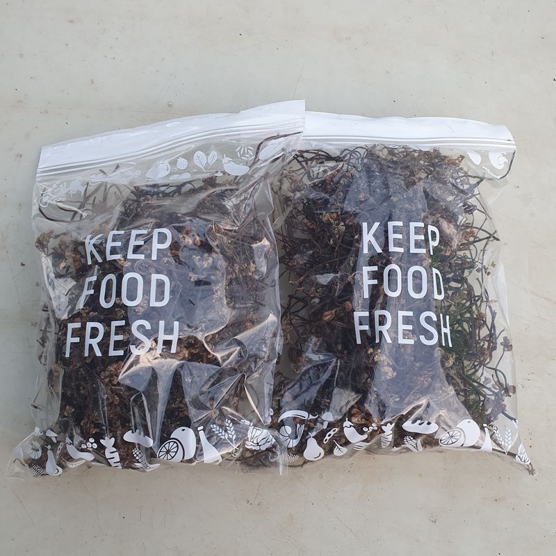 인생은 소풍처럼님의 장터 판매 상품 [100%자연산건고사리100g] 첨부 사진