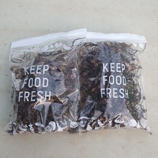 인생은 소풍처럼님의 작성글 사진