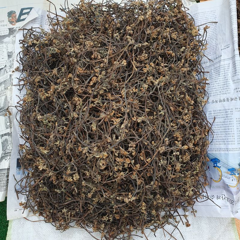 인생은 소풍처럼님의 장터 판매 상품 [100%자연산건고사리100g] 첨부 사진