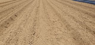 향적농원(정은상)님의 고추 · 토양준비 작성글 사진