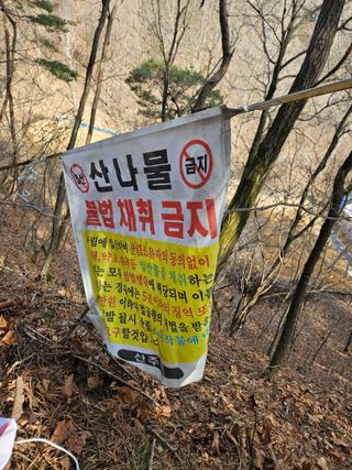 민민농원님의 최근에 산 것 자랑하기 · 참여글 작성글 사진