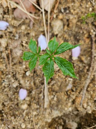 민민농원님의 최근에 산 것 자랑하기 · 참여글 작성글 사진