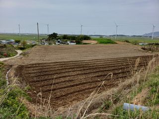 전영일님의 기타작물 · 영농일지 작성글 사진