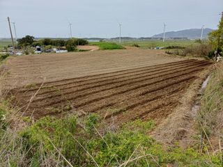 전영일님의 기타작물 · 영농일지 작성글 사진