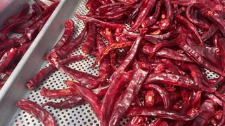 안골농부봉이님의 팜모닝 · 출석 작성글 사진