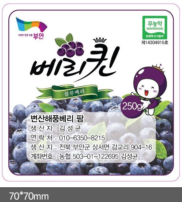 장터 상품 [블루베리(무농약)1kg18mm이상] 썸네일