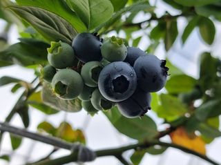 김성균님의 작성글 사진