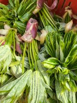 팜모닝 자유주제·자유게시판 게시글 이미지