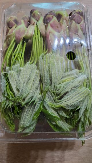 안영매(터실농장)님의 자유주제 · 자유게시판 작성글 사진