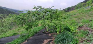 최기덕님의 자유주제 · 자유게시판 작성글 사진