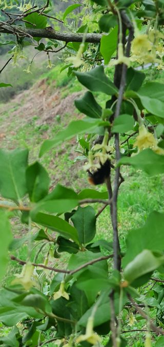 최기덕님의 자유주제 · 자유게시판 작성글 사진