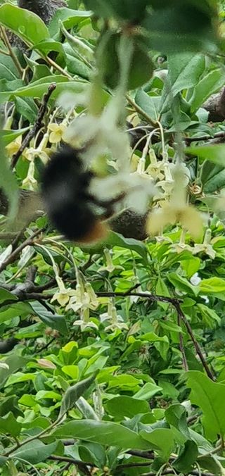 최기덕님의 자유주제 · 자유게시판 작성글 사진